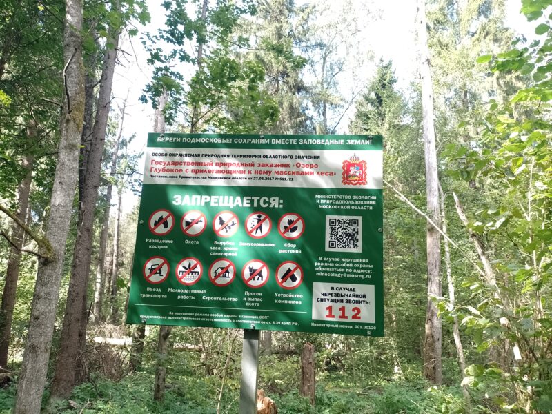 Автодорога (лыжероллеры) Н Горбово — Лызлово, состояние на 28 августа 2025 по отзыву, фото 10. 